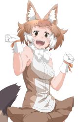 Rule 34 | 1girl, animal ear fluff, animal ears, bare arms, bare shoulders, brown eyes, brown hair, brown skirt, clenched hands, commentary, dhole (kemono friends), dog ears, dog tail, extra ears, fur collar, gloves, happy, highres, jumping, kemono friends, looking at viewer, multicolored hair, shirt, short hair, simple background, skirt, sleeveless, sleeveless shirt, solo, tail, tanabe (fueisei), two-tone hair, white background, white gloves, white hair