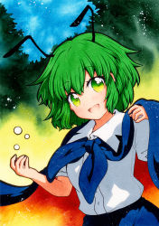 Rule 34 | 1girl, ;d, antennae, bad id, bad pixiv id, blue neckwear, breasts, buttons, collared shirt, dress shirt, green eyes, green hair, looking at viewer, one eye closed, open mouth, qqqrinkappp, shirt, short hair, short sleeves, small breasts, smile, solo, touhou, traditional media, white shirt, wriggle nightbug