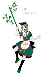 Rule 34 | 1girl, absurdres, apron, back, bamboo, black bow, black hat, black socks, bow, commentary request, derivative work, dress, frilled dress, frills, full body, green dress, green eyes, green footwear, green hair, happy, hat, hidden star in four seasons, highres, holding, kneehighs, korean commentary, kuya (hey36253625), looking at viewer, mary janes, ribbon, shoes, short hair, short hair with long locks, simple background, socks, tassel, tate eboshi, teireida mai, touhou, translation request, waist apron, white apron, white background, yellow bow, yellow ribbon