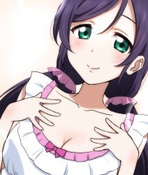 Rule 34 | 10s, 1girl, bad id, bad pixiv id, bow, breasts, cleavage, collarbone, dutch angle, green eyes, hair between eyes, hands on own chest, ikari manatsu, long hair, looking at viewer, love live!, love live! school idol festival, love live! school idol project, medium breasts, purple hair, scrunchie, smile, solo, tojo nozomi, twintails, upper body
