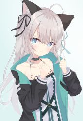 Rule 34 | &gt;:), 1girl, absurdres, ahoge, animal ear fluff, animal ears, arknights, bare shoulders, black jacket, black ribbon, blue background, blue eyes, blush, cat ears, closed mouth, collarbone, commentary request, double thumbs up, dress, grey hair, hair between eyes, hair ribbon, hands up, highres, jacket, kunokaya, long hair, long sleeves, mint (arknights), off shoulder, open clothes, open jacket, puffy long sleeves, puffy sleeves, ribbon, sleeveless, sleeveless dress, smile, solo, thumbs up, v-shaped eyebrows, very long hair, white dress