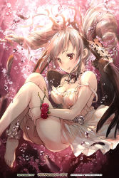 Rule 34 | 10s, 1girl, animal ears, anklet, barefoot, clothes between thighs, drill hair, ek masato, feathers, highres, idolmaster, idolmaster cinderella girls, jewelry, kanzaki ranko, long hair, mile, rabbit ears, red eyes, see-through, silver hair, solo, twin drills, underwater, wings