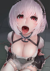 Rule 34 | 1girl, anchor choker, apron, arms behind back, azur lane, breasts, checkered floor, choker, cleavage, collarbone, frilled apron, frilled choker, frills, from above, hair between eyes, hairband, highres, lace-trimmed hairband, lace trim, large breasts, looking at viewer, looking up, maid apron, myuutau tadakichi, on floor, open mouth, puffy short sleeves, puffy sleeves, red eyes, red ribbon, ribbon, ribbon-trimmed legwear, ribbon trim, short hair, short sleeves, sirius (azur lane), sitting, solo, sweat, thighhighs, tongue, tongue out, twitter username, waist apron, white apron, white hair, white thighhighs