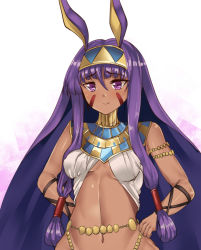 Rule 34 | 1girl, animal ears, bare shoulders, blush, breasts, closed mouth, commentary request, dark-skinned female, dark skin, egyptian, egyptian clothes, facial mark, fate/grand order, fate (series), hair between eyes, hairband, hands on own hips, highres, jackal ears, jewelry, long hair, looking at viewer, medium breasts, navel, nitocris (fate), purple eyes, purple hair, setu (shining12), sidelocks, smile, solo, upper body, very long hair, white background