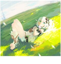 Rule 34 | 1girl, asymmetrical hair, border, bracelet, closed mouth, dress, flower, genshin impact, green eyes, hair ornament, holding, holding flower, jewelry, knees up, looking at viewer, lying, nahida (genshin impact), on back, on grass, outdoors, pointy ears, sexmiss, smile, socks, solo, toeless footwear, toes, white border, white dress, white hair, white socks