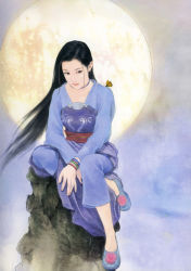 Rule 34 | black hair, bug, butterfly, chen shu fen, china dress, chinese clothes, dress, hanfu, highres, insect, long hair, moon, realistic, solo, wind