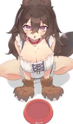 Rule 34 | 1girl, animal ears, blush, breasts, brown hair, character request, cleavage, copyright request, dog ears, dog girl, dog tail, drooling, large breasts, long hair, looking at viewer, simple background, solo, squatting, tail, white background, wolflove