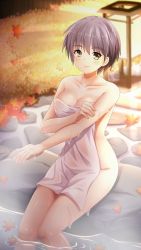 Rule 34 | 1girl, autumn leaves, breasts, brown eyes, cleavage, closed mouth, collarbone, covering privates, doukyuusei, doukyuusei another world, game cg, hair between eyes, kurokawa satomi, large breasts, leaf, looking at viewer, maple leaf, night, nude cover, official art, onsen, outdoors, short hair, silver hair, sitting, smile, solo, towel, white towel