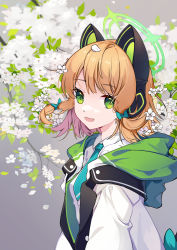 Rule 34 | 1girl, :d, absurdres, animal ear headphones, black jacket, blonde hair, blue archive, blue necktie, bow, branch, breasts, cat ear headphones, collared shirt, fake animal ears, falling petals, flower, green bow, green eyes, green jacket, grey background, hair bow, halo, headphones, highres, hood, hood down, hooded jacket, jacket, looking at viewer, medium hair, midori (blue archive), multicolored clothes, multicolored jacket, necktie, open clothes, open jacket, open mouth, petals, shirt, simple background, small breasts, smile, solo, upper body, white flower, white jacket, white shirt, wind, xuya2333