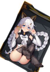 Rule 34 | 1girl, :d, animal ears, black thighhighs, blue eyes, blush, box, braid, breasts, burger, cat ears, fake animal ears, feet, food, from above, full body, grin, highres, holding, holding food, homu (honkai impact), honkai (series), honkai impact 3rd, in box, in container, kiana kaslana, kiana kaslana (knight moonbeam), large breasts, legs, leotard, long hair, looking at viewer, loot box, lrh0123, nail polish, no shoes, open mouth, pink nails, smile, soles, solo, spread toes, teeth, thighhighs, toes, torn clothes, torn thighhighs, transparent background, twin braids, v, white hair, white leotard, white sleeves