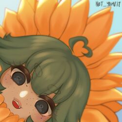 Rule 34 | 1girl, absurdres, ahoge, chibi, flower, freckles, green hair, grey eyes, heart, heart ahoge, highres, looking at viewer, muffin desu (vstreamer), profile picture, smile, solo, sunflower, sunlight, virtual youtuber, yoheit