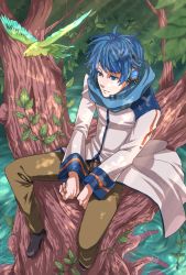 Rule 34 | 1boy, bad id, bad pixiv id, bird, blue eyes, blue hair, blue scarf, daizu (323449), headphones, headset, in tree, kaito (vocaloid), male focus, matching hair/eyes, nature, outdoors, scarf, sitting, sitting in tree, solo, tree, vocaloid, water