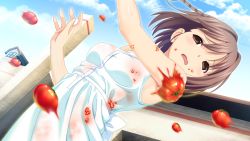 Rule 34 | 10s, 1girl, brown eyes, brown hair, game cg, highres, kitami minamo, koutaro, open mouth, short hair, tomato, tropical kiss, tropical vacation, twinkle (company)