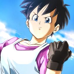 Rule 34 | 1girl, black hair, blue eyes, clenched hand, closed mouth, cloud, collarbone, dragon ball, dragonball z, fingerless gloves, gloves, kemachiku, looking at viewer, lowres, shirt, short hair, solo, videl, white shirt