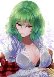 Rule 34 | 1girl, black bra, bra, bra visible through clothes, breasts, cleavage, collarbone, commentary request, crossed arms, floral background, green hair, hair between eyes, kazami yuuka, large breasts, long sleeves, looking at viewer, off shoulder, parted lips, pink lips, plaid, plaid vest, red eyes, red vest, rose background, seductive smile, see-through, shirt, short hair, smile, solo, sweat, touhou, underwear, upper body, vest, wavy hair, wet, white background, white shirt, y2