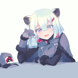 Rule 34 | 1girl, animal ears, blue archive, blue hair, drink, gloves, grey eyes, hair between eyes, hair ornament, hairclip, hat, highres, kyuuri (miyako), looking at viewer, pov, shigure (blue archive), short hair, simple background, solo, table, white background, winter clothes