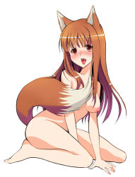 Rule 34 | 00s, 1girl, animal ears, bad id, bad pixiv id, barefoot, blush, breasts, brown hair, full body, holo, kneeling, long hair, medium breasts, nipples, nude, open mouth, red eyes, sage joh, saliva, simple background, solo, spice and wolf, tail, white background, wolf ears, wolf tail