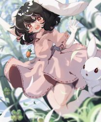 Rule 34 | 1girl, animal ears, ayahi 4, bamboo, bamboo forest, black hair, blurry, blush, carrot necklace, clover, commentary, depth of field, dress, forest, four-leaf clover, full body, hair between eyes, hand up, highres, inaba tewi, jewelry, legs folded, looking at viewer, midair, nature, necklace, open mouth, outstretched arm, pink dress, puffy short sleeves, puffy sleeves, rabbit, rabbit ears, rabbit girl, red eyes, red ribbon, ribbon, ribbon-trimmed dress, short hair, short sleeves, solo, teeth, touhou, upper teeth only