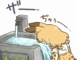Rule 34 | 10s, 1girl, animal ears, blonde hair, drinking fountain, elbow gloves, faucet, gloves, kemono friends, multicolored clothes, multicolored gloves, print gloves, print neckwear, serval (kemono friends), serval print, shirt, simple background, sleeveless, sleeveless shirt, solo, tanaka kusao, water, white background, white gloves, yellow gloves, yellow neckwear, you&#039;re doing it wrong