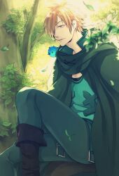 Rule 34 | 1boy, animal, animal on shoulder, belt, bird, bird on shoulder, black footwear, blue bird, blue eyes, brown hair, cloak, fate/extra, fate (series), forest, green cloak, green shirt, hair over one eye, highres, hood, hooded cloak, leaf, m ccoli, male focus, mouth hold, nature, outdoors, robin hood (fate), shirt, short hair, solo, stalk in mouth