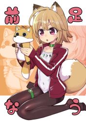 Rule 34 | 1girl, :o, ahoge, animal, animal ear fluff, animal ears, black pantyhose, blush, breasts, brown hair, brown jacket, collar, collarbone, commentary request, covered navel, fox, fox ears, fox girl, fox tail, green collar, hair between eyes, hanauna, holding, holding animal, jacket, long sleeves, name tag, no shoes, one-piece swimsuit, open clothes, open jacket, original, pantyhose, pantyhose under swimsuit, parted lips, purple eyes, school swimsuit, sitting, sleeves past wrists, small breasts, solo, swimsuit, swimsuit under clothes, tail, translation request, v-shaped eyebrows, wariza, white one-piece swimsuit, zoom layer