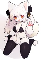 Rule 34 | 1girl, animal ears, animal hands, arm up, between legs, bikini, black bikini, black thighhighs, body fur, breasts, brown eyes, claws, cleavage, fang, furry, furry female, hand between legs, large breasts, legs, long hair, looking at viewer, open mouth, original, pemi (spommmm), ribbon, sitting, smile, solo, swimsuit, tail, thighhighs, thighs, toeless legwear, twintails, white hair, wolf ears, wolf girl, wolf tail