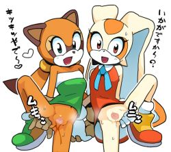 Rule 34 | 2girls, animal ears, blue eyes, bottomless, check translation, cream the rabbit, dripping, flat chest, furry, happy, heart, holding hands, leg up, looking at viewer, marine the raccoon, multiple girls, navel, open mouth, presenting, pussy, pussy juice, rabbit, raccoon, red eyes, shoes, simple background, sonic (series), source request, spread legs, spread pussy, standing, sweat, take your pick, tamagoroo, translated, translation request, uncensored, white background