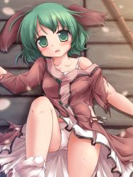 Rule 34 | 1girl, animal ears, bamboo, bare shoulders, blush, brown dress, cherry blossoms, dress, female focus, green eyes, green hair, highres, kasodani kyouko, lying, lzh, matching hair/eyes, off shoulder, on back, open mouth, panties, pantyshot, pink dress, solo, torn clothes, touhou, underwear, upskirt, white panties