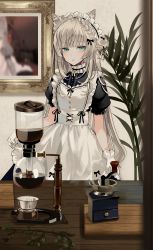 Rule 34 | 1girl, animal ears, apron, black dress, blue eyes, blush, cat ears, chiemo (xcem), coffee grinder, coffee maker, commentary, dress, frilled apron, frills, gloves, green eyes, hair bun, indoors, long hair, looking at viewer, maid, maid apron, maid headdress, original, painting (object), parted lips, plant, puffy short sleeves, puffy sleeves, short sleeves, side bun, silver hair, single hair bun, single side bun, solo, table, very long hair, wavy hair, white apron, white gloves