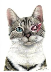 Rule 34 | abe yuichiro, animal, animal focus, cat, colored pencil (medium), crystal, gem, heterochromia, highres, looking at viewer, no humans, original, red gemstone, simple background, traditional media, white background