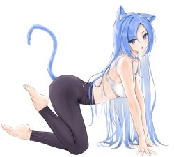 Rule 34 | 1girl, :o, all fours, animal ears, bare arms, bare shoulders, barefoot, black pants, blue eyes, blue hair, breasts, cat ears, cat tail, chaesu, commentary, crop top, highres, kemonomimi mode, leggings, long hair, looking at viewer, medium breasts, midriff, bae minah (chaesu), open mouth, original, pants, simple background, solo, sports bra, symbol-only commentary, tail, very long hair, white background