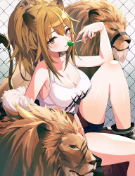 Rule 34 | 1girl, absurdres, animal, animal ears, arknights, bare arms, bare shoulders, black footwear, boots, breasts, brown eyes, brown hair, candy, chain-link fence, cleavage, fence, food, fur trim, highres, holding, knee up, large breasts, lion, lion ears, lion girl, lion tail, lollipop, long hair, looking at viewer, munseonghwa, off shoulder, ponytail, red shorts, shirt, short shorts, shorts, siege (arknights), sleeveless, sleeveless shirt, solo, tail, thighs, white shirt