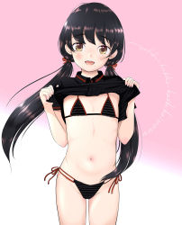 Rule 34 | 1girl, bikini, black bikini, black hair, black shirt, blush, brown eyes, cameltoe, clothes lift, collared shirt, commentary, english commentary, female focus, gradient background, hands up, highres, long hair, looking at viewer, mayafufu, navel, open mouth, original, pink background, shirt, shirt lift, side-tie bikini bottom, signature, simple background, smile, solo, standing, swimsuit, twintails, upper body