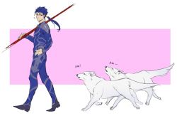 Rule 34 | 1boy, 2others, armor, blue bodysuit, blue hair, bodysuit, closed mouth, cu chulainn (fate), cu chulainn (fate/stay night), dog, earrings, fate/stay night, fate (series), floating hair, from side, full body, gae bolg (fate), hand on own hip, holding, holding polearm, holding weapon, iash, jewelry, long hair, looking at another, male focus, multiple others, muscular, muscular male, official alternate costume, pauldrons, polearm, ponytail, red eyes, shoulder armor, skin tight, spiked hair, walking, weapon, white wolf, wolf