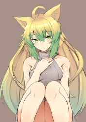 Rule 34 | 1girl, ahoge, animal ears, atalanta (fate), bare arms, bare shoulders, blonde hair, blush, breasts, brown background, cat ears, cat girl, collarbone, fate/apocrypha, fate/grand order, fate (series), green eyes, green hair, hand on own chest, knees up, long hair, looking at viewer, multicolored hair, nahu, parted lips, simple background, sitting, small breasts, solo