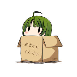 Rule 34 | 10s, 1girl, 2017, ahoge, box, braid, cardboard box, dated, green hair, hatsuzuki 527, in box, in container, kantai collection, long hair, simple background, single braid, solid oval eyes, solo, translated, twitter username, white background, yuugumo (kancolle)