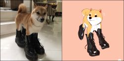 Rule 34 | animal focus, ankle boots, black footwear, boots, cross-laced footwear, dog, highres, keke (kokorokeke), no humans, notice lines, original, parted lips, photo inset, pink background, reference inset, shiba inu, simple background, smile