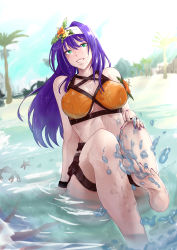 Rule 34 | 1girl, absurdres, bare legs, barefoot, beach, bikini, blue sky, breasts, cleavage, commentary, crab, day, english commentary, fire emblem, fire emblem: path of radiance, fire emblem: radiant dawn, fire emblem heroes, flower, full body, green eyes, grin, hair between eyes, hair flower, hair ornament, hairband, highres, large breasts, light rays, lips, long hair, looking at viewer, mia (fire emblem), midriff, nail polish, nintendo, ocean, orange bikini, outdoors, palm tree, partially submerged, pouch, purple hair, purple nails, sitting, sky, smile, solo, splashing, starfish, sunlight, swimsuit, thigh pouch, thigh strap, toenail polish, toenails, tree, vialnite, wet, wristband