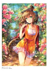 Rule 34 | 1girl, animal ears, blue ribbon, brown hair, capelet, cat ears, cat tail, collarbone, copyright name, dress, floating hair, flower, fuumi (radial engine), gradient ribbon, green eyes, green ribbon, hair flower, hair ornament, hair ribbon, highres, looking at viewer, medium hair, multicolored flower, pinafore dress, pink flower, red capelet, red ribbon, ribbon, shirt, short dress, sleeveless, sleeveless dress, smile, solo, standing, striped clothes, striped dress, tail, vertical-striped clothes, vertical-striped dress, white shirt, yellow dress, z/x