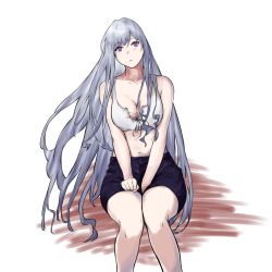 Rule 34 | 1girl, ak-12 (girls&#039; frontline), breasts, cleavage, collarbone, defy (girls&#039; frontline), girls&#039; frontline, highres, long hair, looking at viewer, purple eyes, shorts, silver hair, simple background, sitting, solo, talnory, white background