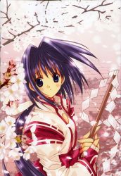Rule 34 | absurdres, artbook, cherry blossoms, gloves, gohei, hair intakes, highres, japanese clothes, kishou seireiki, miko, nanase aoi, seven colors of the wind, solo