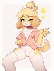 Rule 34 | animal crossing, animal ears, bell, belt collar, blonde hair, blush, bottomless, breasts, censored, chinese commentary, claws, collar, commentary request, crayon (crayon1006), dog ears, dog girl, dog tail, feet out of frame, fewer digits, furry, furry female, green eyes, hair bell, hair ornament, highres, isabelle (animal crossing), jingle bell, medium breasts, mosaic censoring, nintendo, one eye closed, open mouth, pink shirt, pussy, red collar, shirt, short hair, spread legs, star (symbol), tail, teeth, thighhighs, two-tone fur, unbuttoned, unbuttoned shirt, upper teeth only, v, white fur, white thighhighs, yellow fur