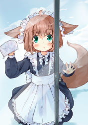 Rule 34 | 1girl, :o, absurdres, against window, animal ears, apron, black dress, blue sky, blush, bow, brown hair, cloud, cloudy sky, collared dress, day, dress, frilled apron, frills, from outside, green eyes, hair between eyes, highres, long sleeves, looking at viewer, maid, maid headdress, manabe mana, original, outdoors, parted lips, puffy long sleeves, puffy sleeves, rag, sky, solo, tail, white apron, white bow