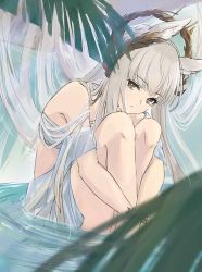 Rule 34 | 1girl, animal ear fluff, animal ears, arknights, bikini, blunt bangs, blush, bracelet, breasts, commentary, criss-cross halter, halterneck, highres, horse ears, hugging own legs, jewelry, konota ko, laurel crown, looking at viewer, navel, official alternate costume, partially submerged, plant, platinum (arknights), platinum (shimmering dew) (arknights), silver hair, sitting, solo, swimsuit, tail, water, white bikini, yellow eyes