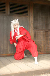 Rule 34 | cosplay, inuyasha, inuyasha (character), mizuhara arisa, photo (medium), tagme