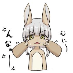 Rule 34 | 10s, artist request, brown eyes, rabbit, furry, grey hair, made in abyss, nanachi (made in abyss)
