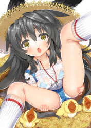 Rule 34 | 1girl, animal ears, bird, black hair, blush, bra, breasts, char, chick, denim, denim shorts, hat, highres, jewelry, long hair, looking at viewer, necklace, necro-san, open mouth, original, see-through, shirt, shorts, sitting, small breasts, solo, spread legs, suspenders, suspenders slip, underwear, wet, wet clothes, wet shirt, yellow eyes