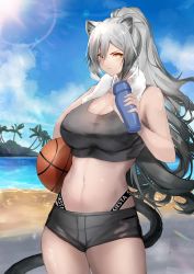 Rule 34 | 1girl, absurdres, animal ears, arknights, ball, bare arms, bare shoulders, basketball, basketball (object), black shorts, blue sky, breasts, cat ears, cat tail, cleavage, cloud, commentary, cowboy shot, crop top, day, female focus, highres, holding, holding ball, large breasts, long hair, looking at viewer, midriff, navel, outdoors, ponytail, schwarz (arknights), short shorts, shorts, silver hair, sky, solo, sports bra, standing, stomach, sun, tail, thighs, towel, towel around neck, v-shaped eyebrows, very long hair, yellow eyes, yujieai