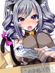 Rule 34 | 10s, 1girl, animal ears, bell, neck bell, blush, box, cat ears, cat tail, collar, detached sleeves, drill hair, grey hair, highres, idolmaster, idolmaster cinderella girls, in container, kanzaki ranko, hugging own legs, long hair, mistrail, open mouth, red eyes, solo, tail, tears, twin drills, twintails