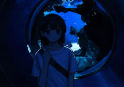 Rule 34 | 1girl, absurdres, aquarium, arm at side, bag, black eyes, black hair, blue theme, closed mouth, collarbone, dot nose, expressionless, hand on own chest, highres, indoors, jitome, light rays, long bangs, looking at viewer, medium hair, original, shirt, short sleeves, shoulder bag, sidelocks, solo, t-shirt, underwater, uniunimikan, upper body, water, white shirt, window